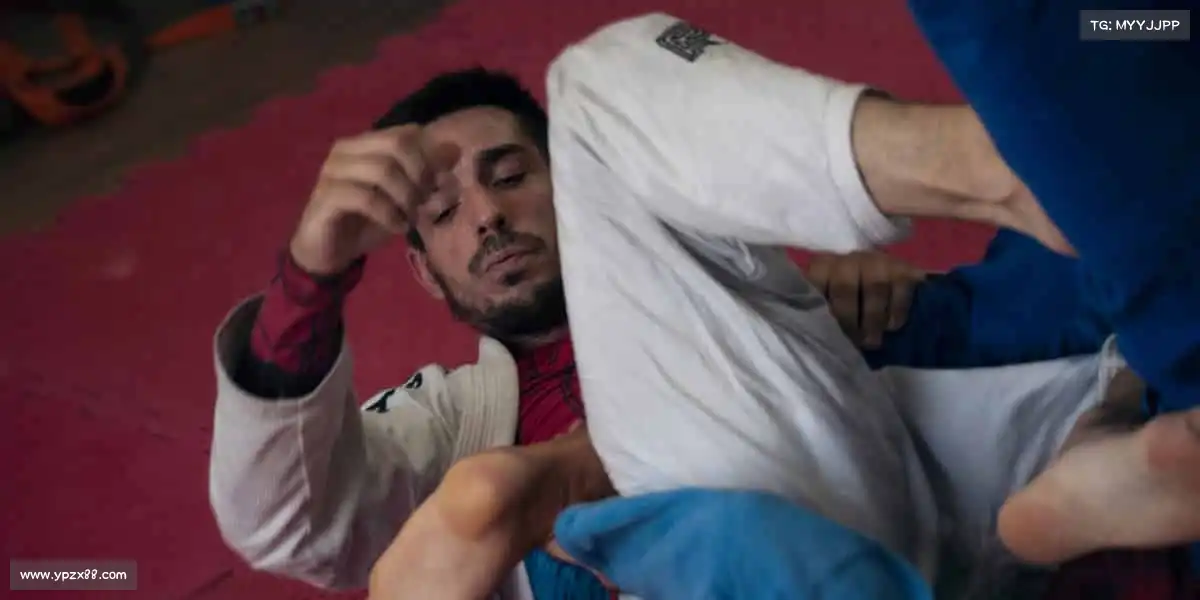 太阳成tyc122cc搜狗百科——🌟超越自我，成就非凡人生！